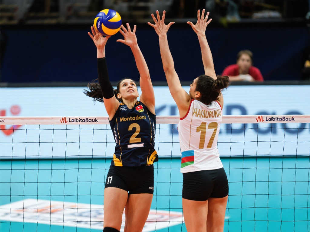 轻取芝加哥 轻取芝加哥